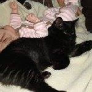 Meet your Posher, Danaka